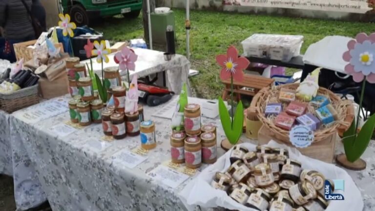 Fiera di Borgonovo Val Tidone: Un Evento Imperdibile