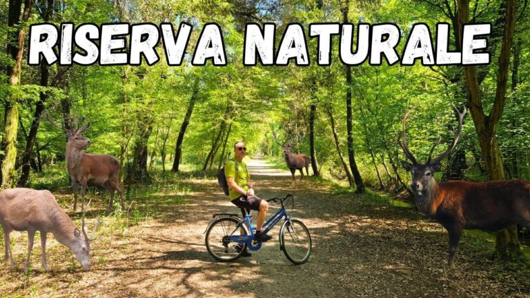 Scopri il Boscone della Mesola: Natura e Storia nel Cuore dell’Emilia-Romagna